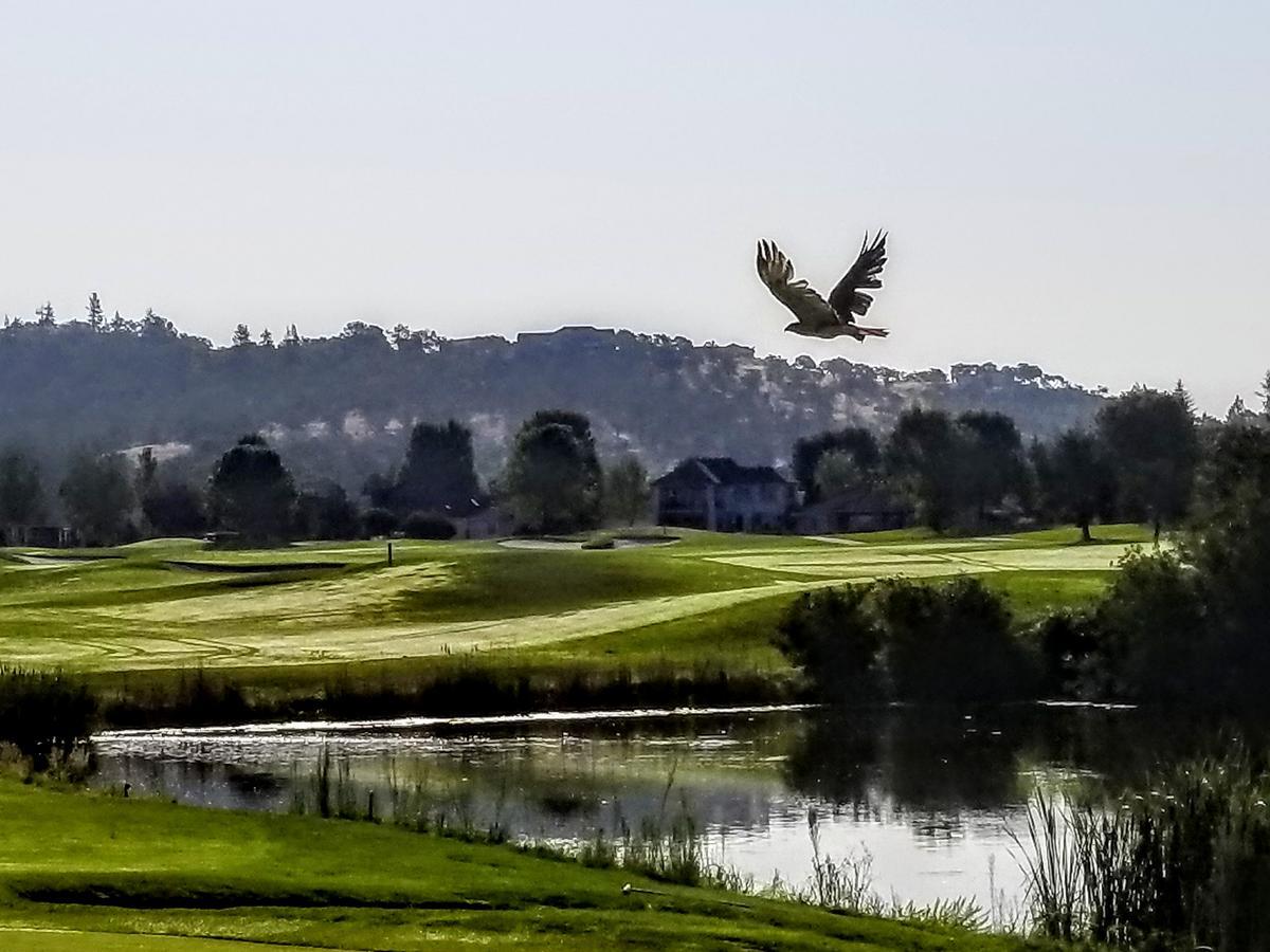 Resort At Eagle Point Golf Club Lodging 메드퍼드 외부 사진