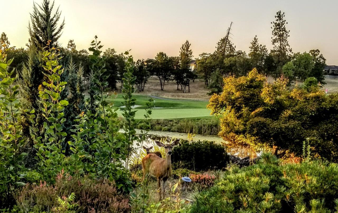 Resort At Eagle Point Golf Club Lodging 외부 사진