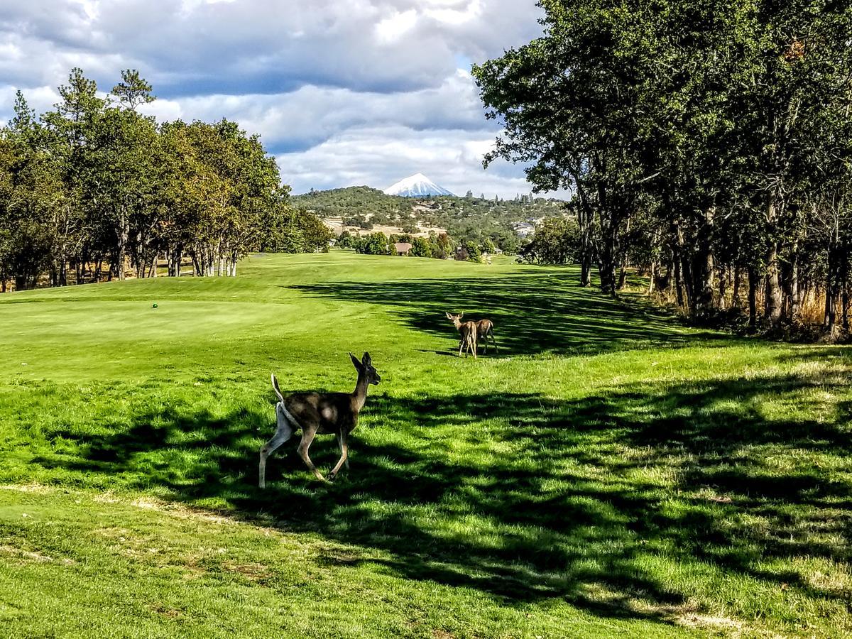 Resort At Eagle Point Golf Club Lodging 메드퍼드 외부 사진